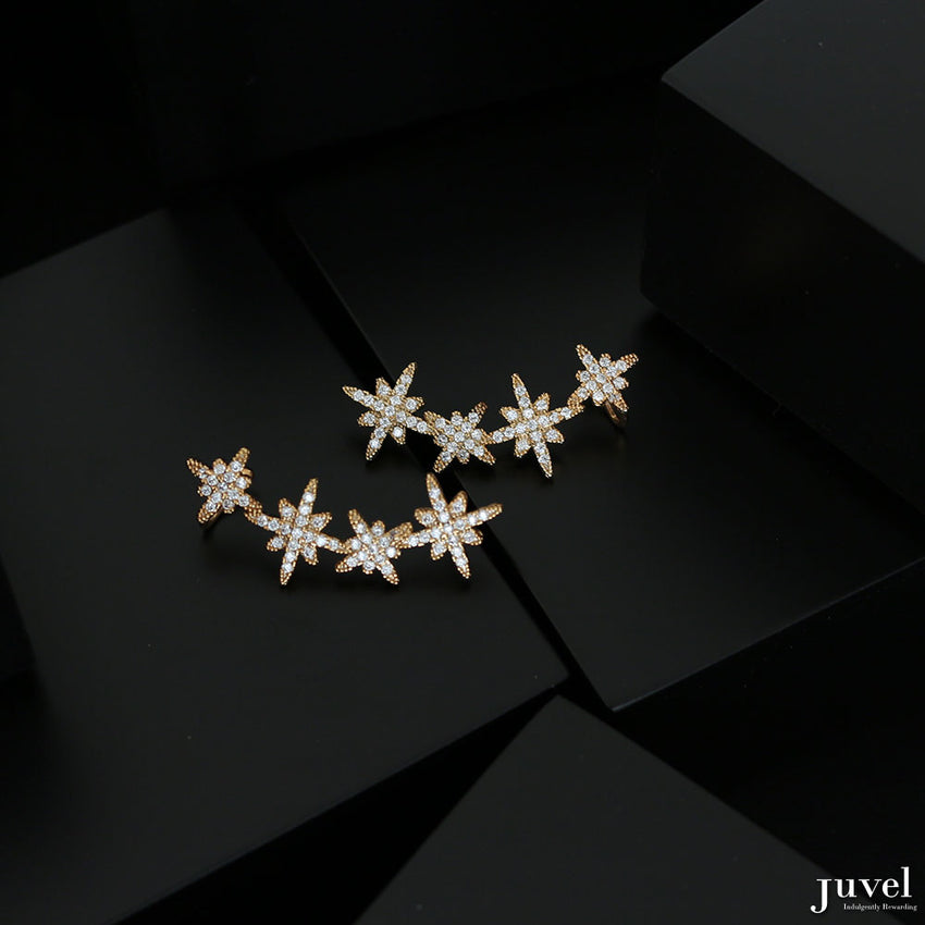 Juvel | Earrings No.31